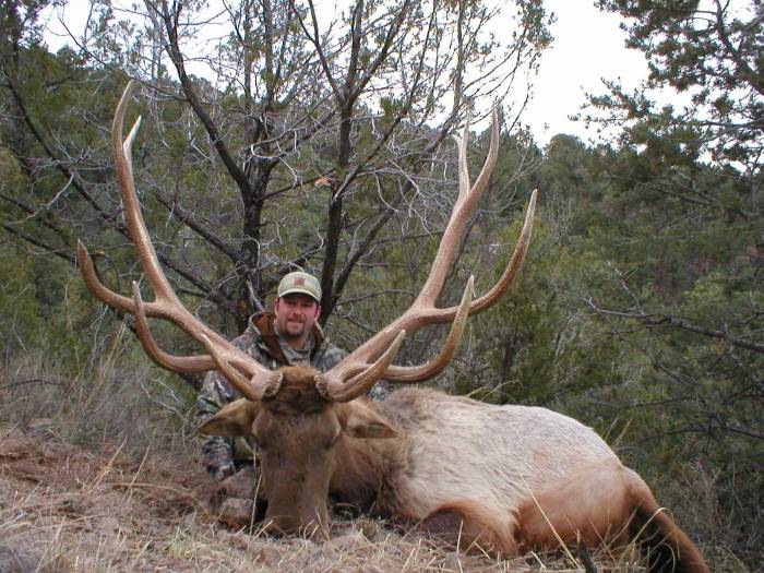 New mexico unit 36 elk