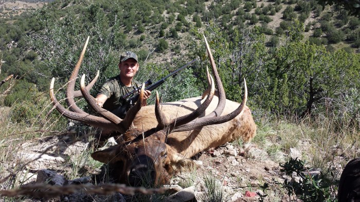 New mexico unit 36 elk