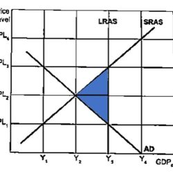 Macro topic 3.8 fiscal policy answers