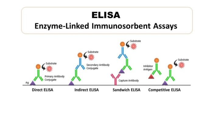 Choose the statement that best describes the direct elisa technique