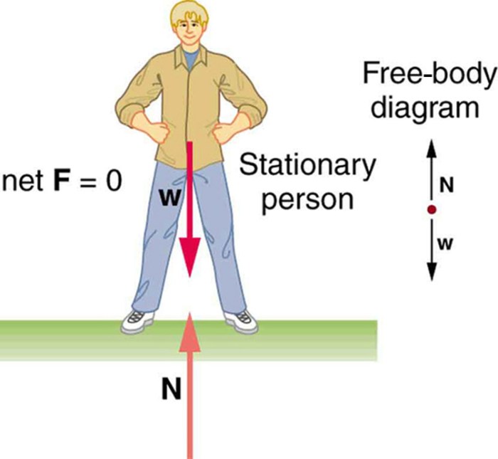 Net force equilibrium hidden message answer key