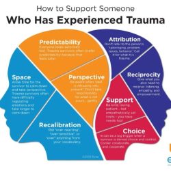 Mandt chapter 4 trauma test answers